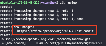 ../_images/sandbox_git_review.png